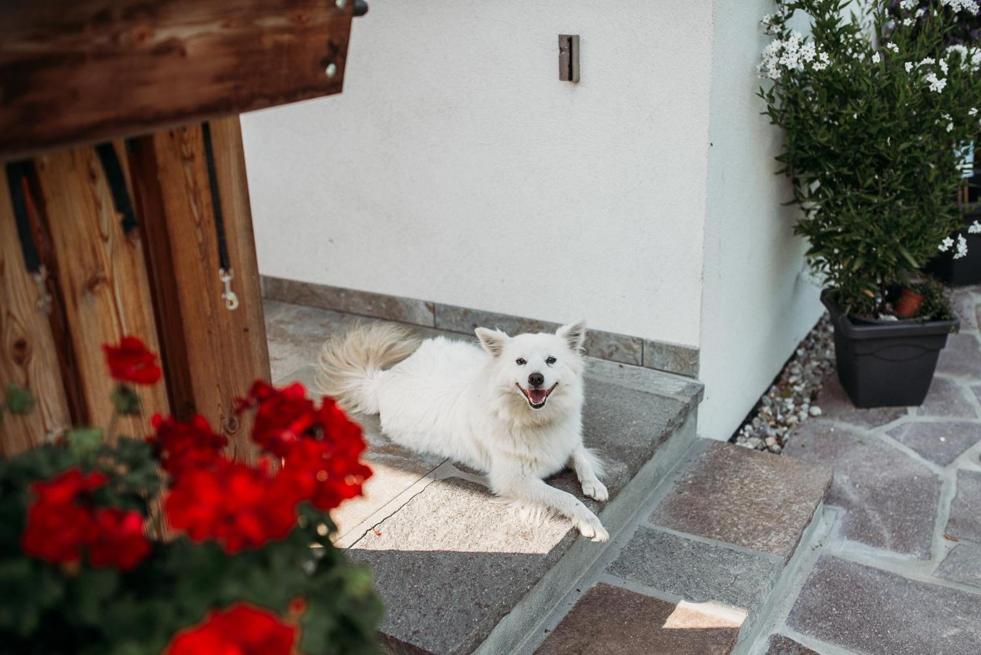 Grosskarnaiderhof Appartements-Bauernhof-Natur Pur Lüsen Zewnętrze zdjęcie