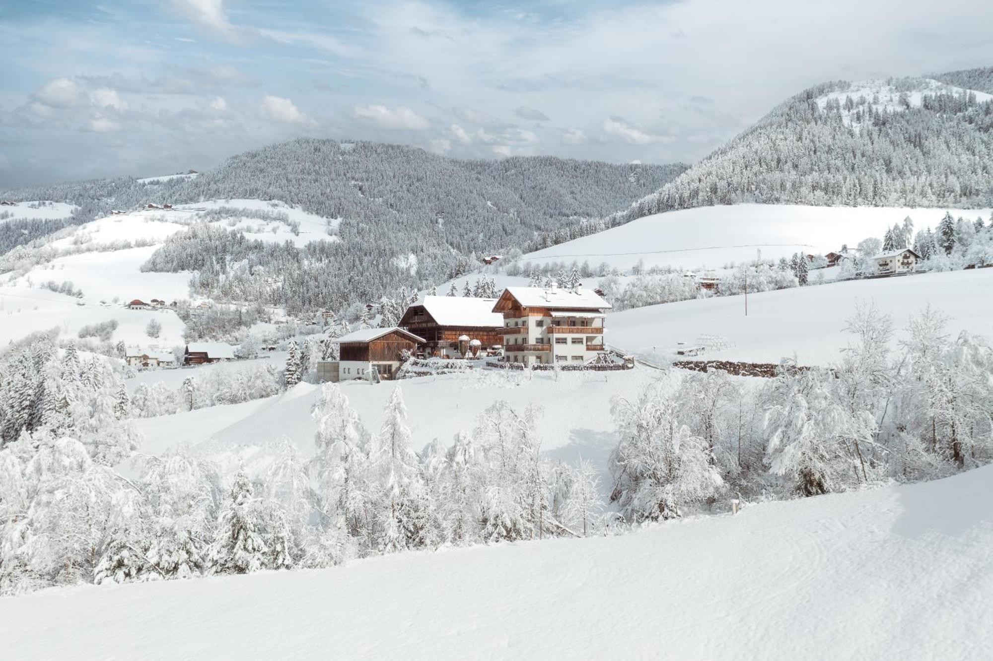 Grosskarnaiderhof Appartements-Bauernhof-Natur Pur Lüsen Zewnętrze zdjęcie