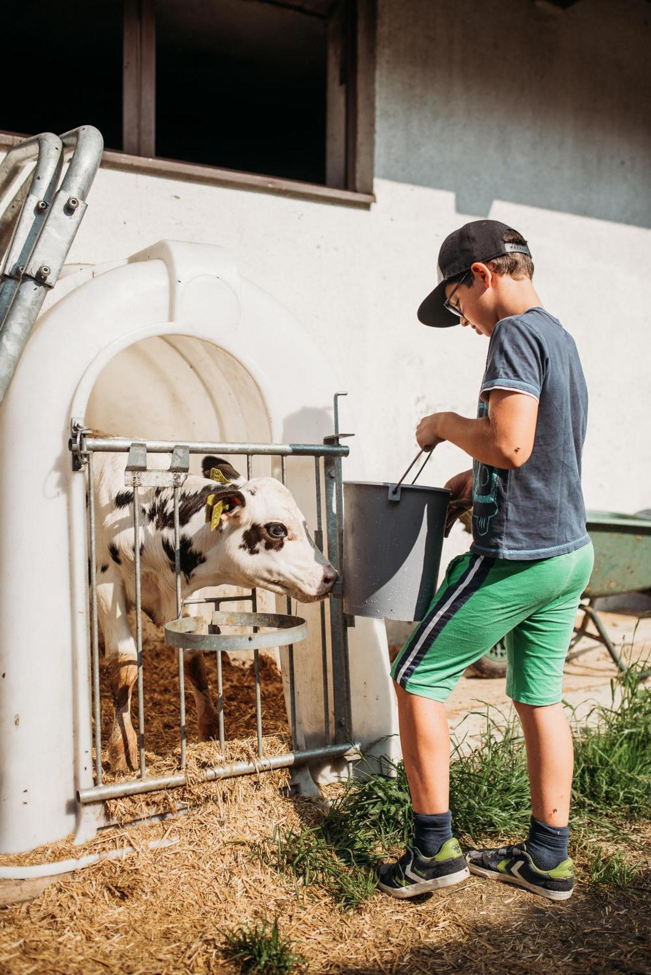 Grosskarnaiderhof Appartements-Bauernhof-Natur Pur Lüsen Zewnętrze zdjęcie